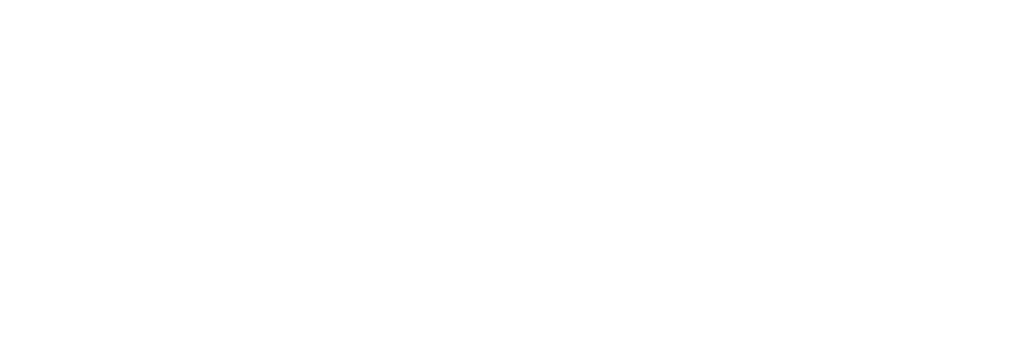 Logo WordPress blanc