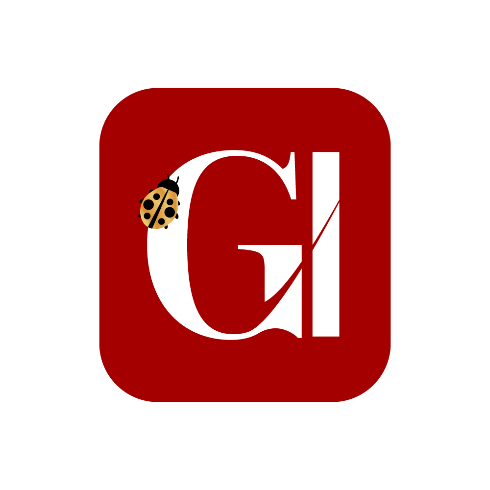 Logo GI66